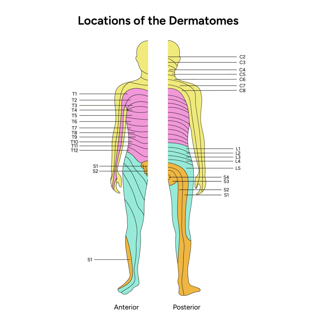 Level of injury severity of the damage_1_AdobeStock_669751855