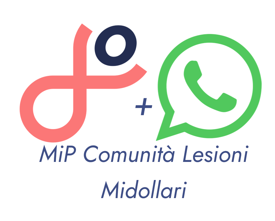MiP WhatsApp IT